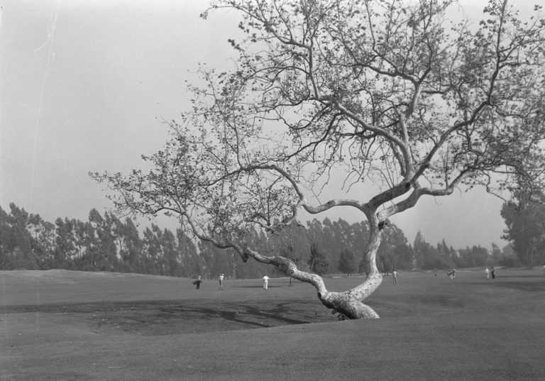 LACC’s SOUTH Course Turns 100! Golf Historical Society